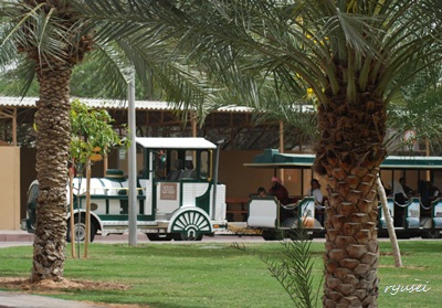 f0053297_1354459.jpg