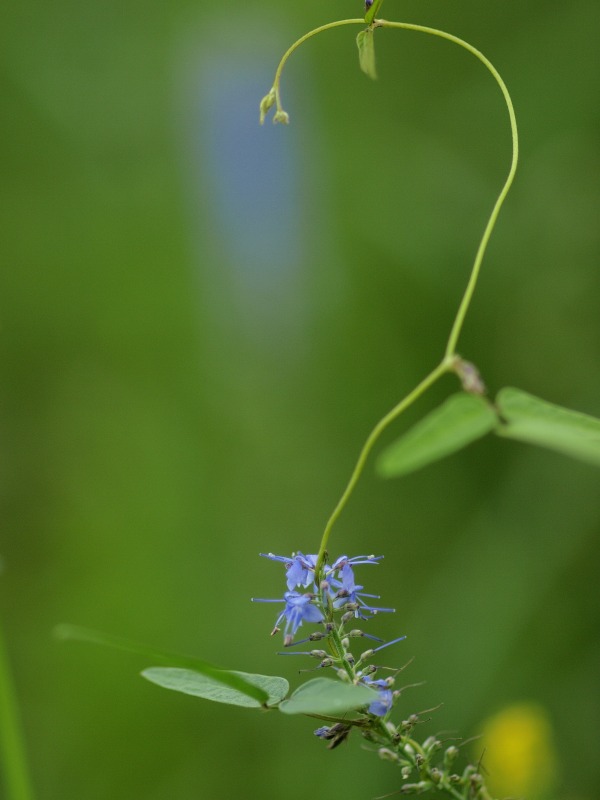 f0224100_0273529.jpg