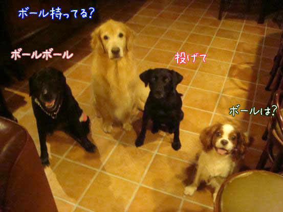 f0064906_16513639.jpg