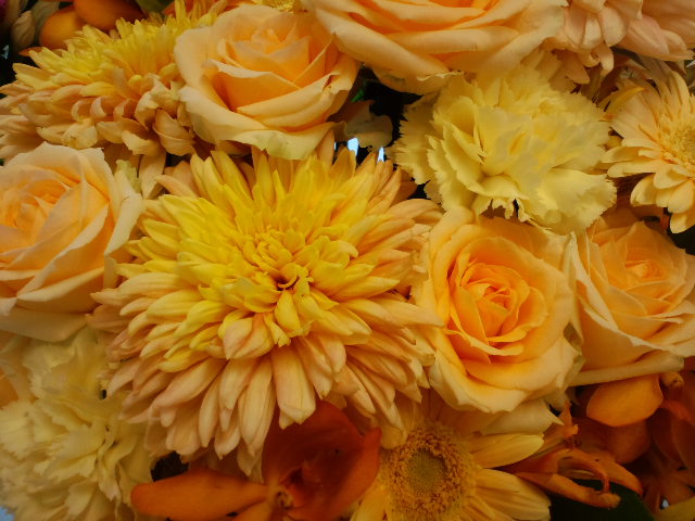 a0088007_1223646.jpg