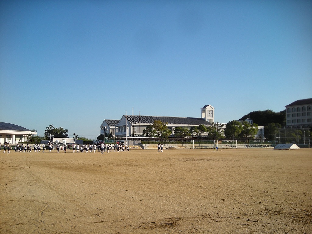 a0142107_17282588.jpg