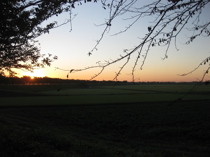 f0179209_21332542.jpg
