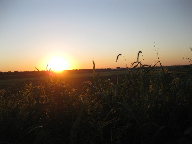 f0179209_21334293.jpg