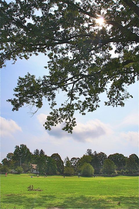 f0155318_740415.jpg