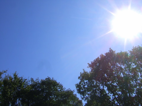 c0151122_4414378.jpg