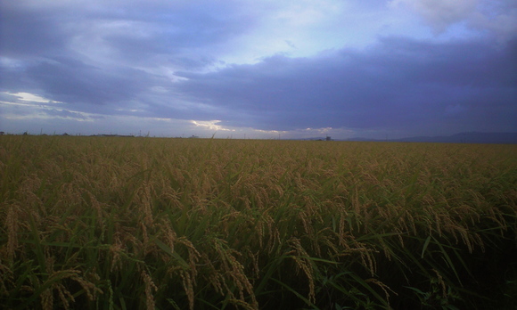 e0227023_23143260.jpg