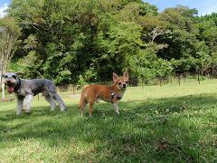 f0022024_21184181.jpg