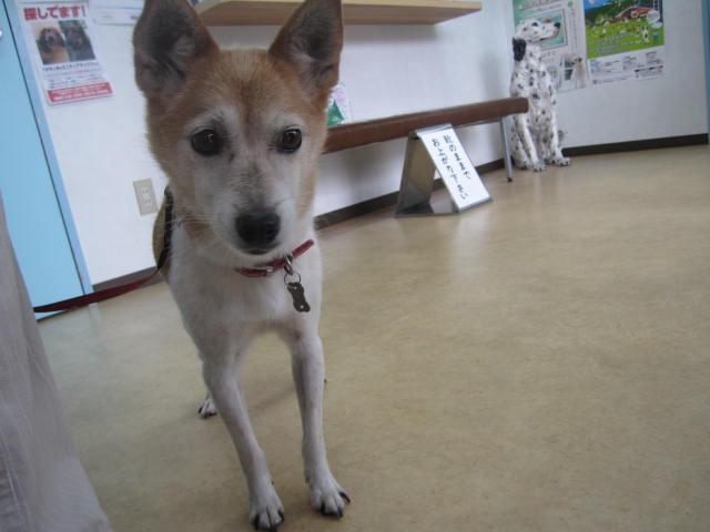 e0191826_23461772.jpg