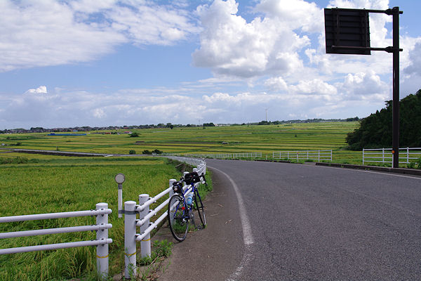 f0007926_16133817.jpg