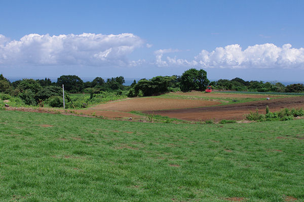 f0007926_16285964.jpg