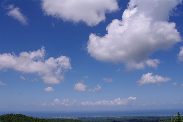 f0007926_16335094.jpg