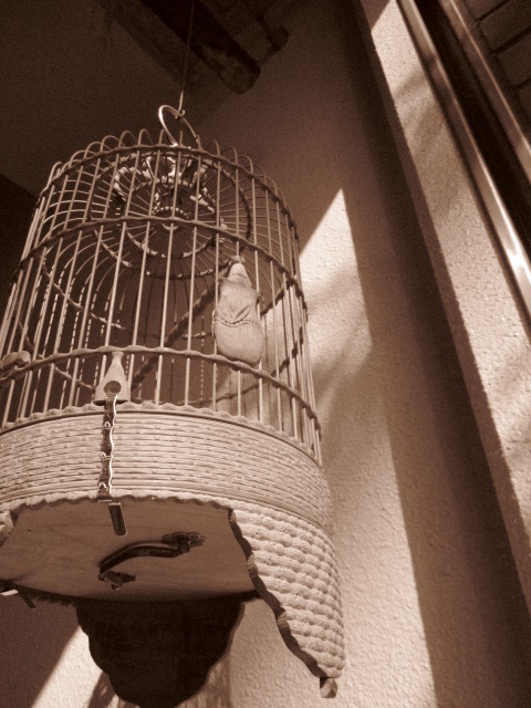 c0214628_2353072.jpg