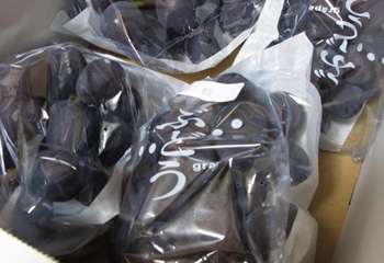 e0138031_7301968.jpg
