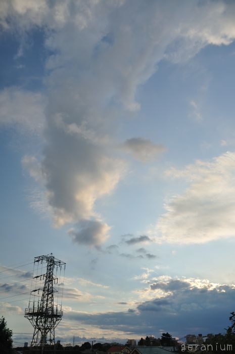 c0133533_0384490.jpg