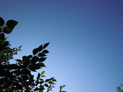 e0097534_1553380.jpg