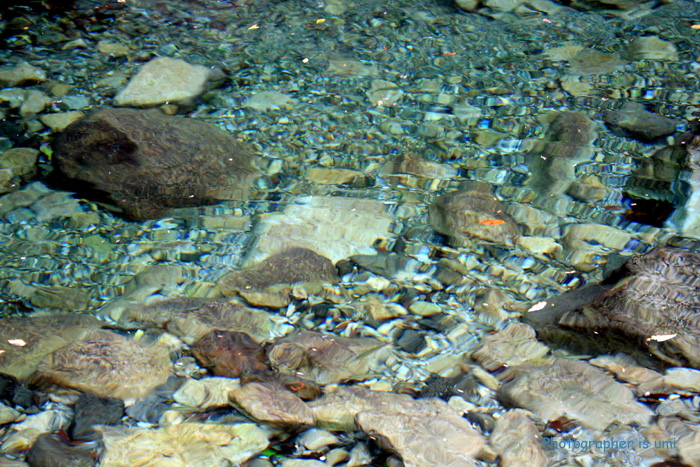 e0083238_23445310.jpg