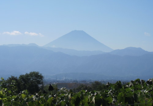b0178339_20221690.jpg