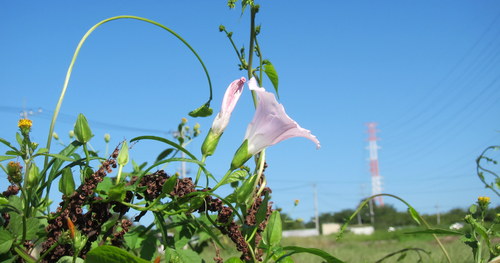 b0178339_20285198.jpg