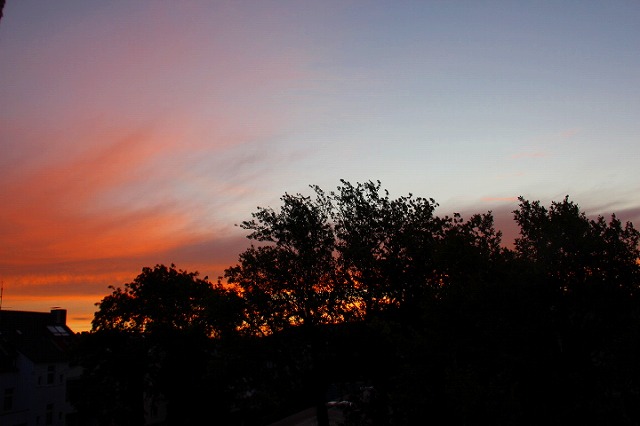 c0153740_2415158.jpg