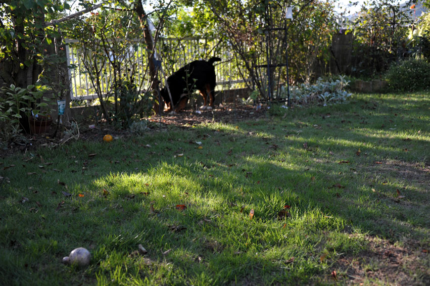 b0075541_0103190.jpg