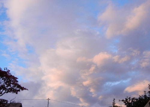 a0216142_0153251.jpg