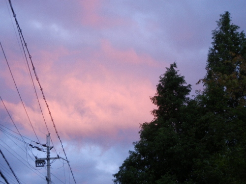 a0216142_0155045.jpg