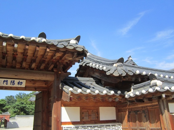 b0162442_17524869.jpg