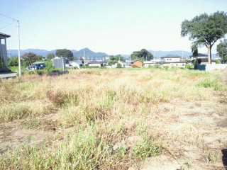 e0150849_1541058.jpg