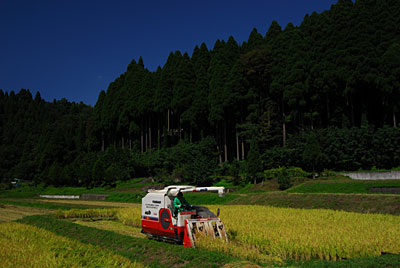 c0145453_23232181.jpg