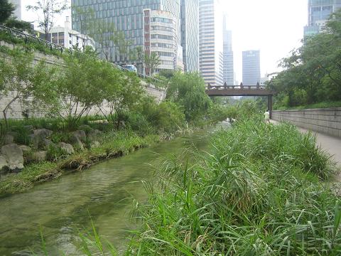e0084055_17173749.jpg