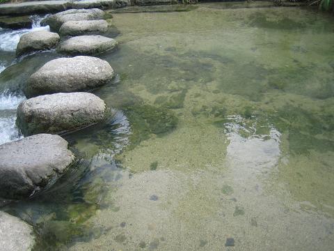 e0084055_1719165.jpg