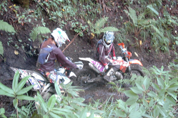 c0198263_22521751.jpg
