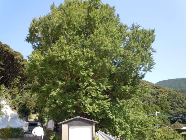 a0112066_1146430.jpg