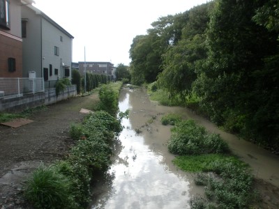 c0112172_3472817.jpg