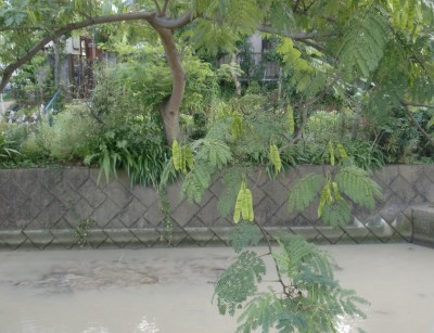 c0112172_3475737.jpg