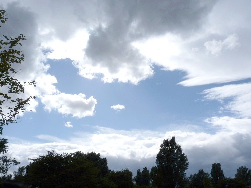 d0084473_21363.jpg