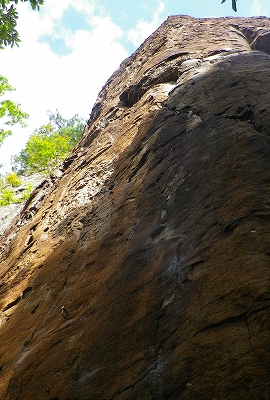 f0182173_932414.jpg
