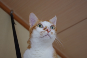 f0054677_7514182.jpg