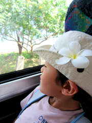 a0062983_1331940.jpg