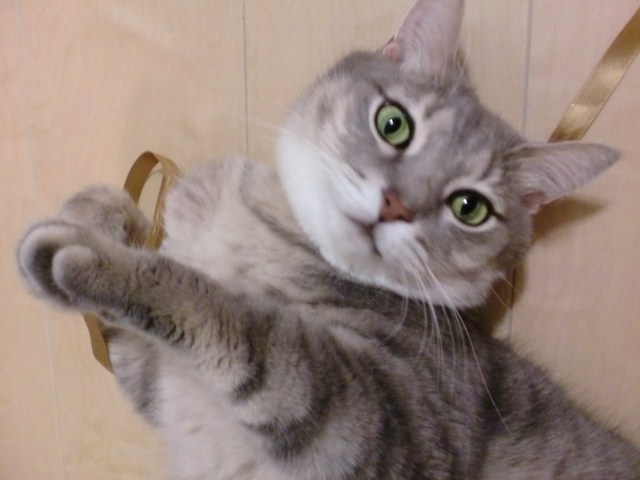 c0180885_2147328.jpg