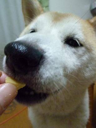 c0123890_20514941.jpg