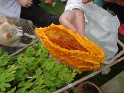 e0137390_14414541.jpg