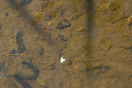 d0133693_23152912.jpg