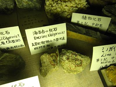 c0118495_2313447.jpg