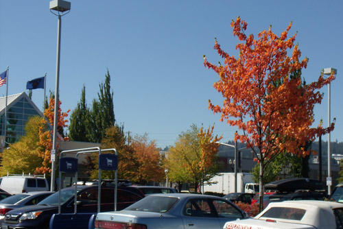 d0000995_15514218.jpg