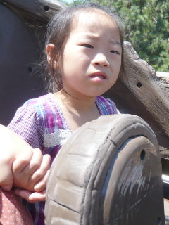 d0016003_13323179.jpg