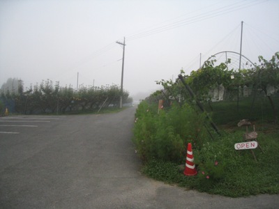 d0116205_2203785.jpg