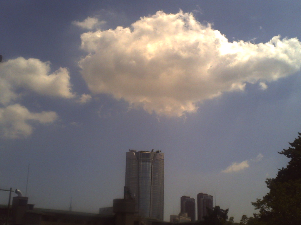 a0088007_3291437.jpg