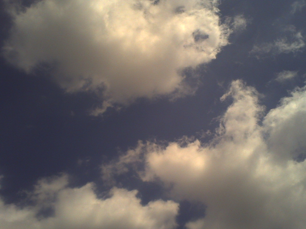 a0088007_3312353.jpg