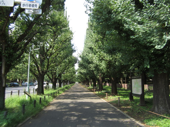 a0161409_23484519.jpg
